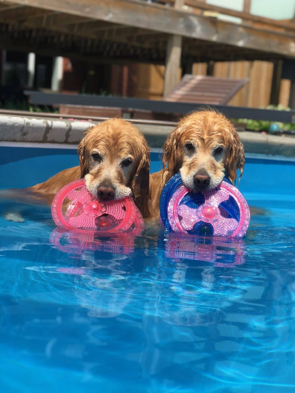 Imagine Fiberglass Pools photo 2